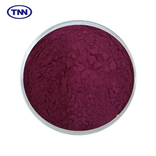 Top Quality Bulk 25% Anthocyanins Black Elderberry Extract Powder