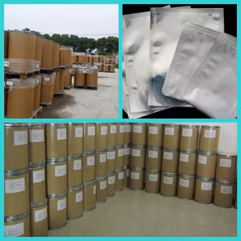 Supply Horsetail Brass Extract 10: 1 Ratio Extraction Horsetail Powder