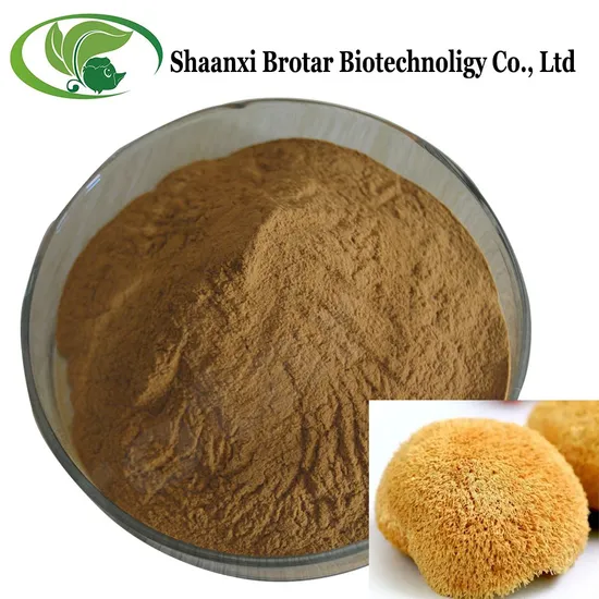 Brotar Supply OEM Lion′s Mane Extract Powder Ratio 10: 1 Hericium Powder