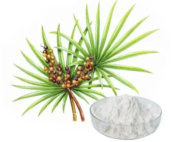 Wholesale Bulk Saw Palmetto Fruit Extract Powder 45% Fatty Acid Ratio for Health Supplements