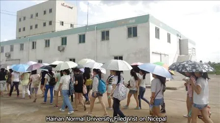 Natural Spray Dried Lime Fruit Powder / Lime Juice Powder / Lime Drink Powder 