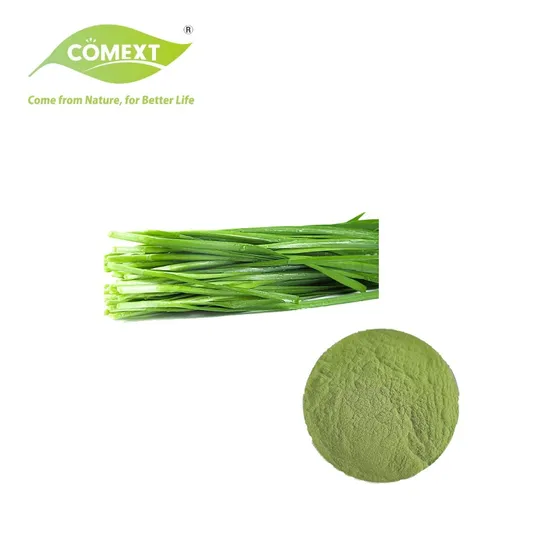 Comext Dehydrated Vegetables Dried Leek Instant Powder Leeks Seed Extract Leek Juice Powder 