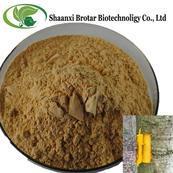 Brotar Supply OEM Huangbai Extract Ratio 10: 1 Huangbai Peel Extract Powder 