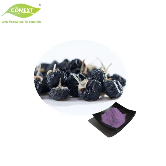ISO Certificated Plant Extract Food Grade 1%~25% Anthocyanidin Natural Black Wolfberry Extract 