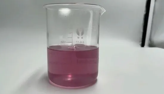 Cranberry Juice Powder Vegetable& Fruit Powder 