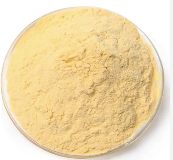 Natural Food Grade Salvia Miltiorrhiza P. E. 10: 1 Ratio Salvia Miltiorrhiza Extarct Powder 