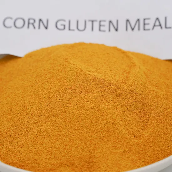 Yellow Feed Grade Corn Gluten Meal 60% Protein Powder 