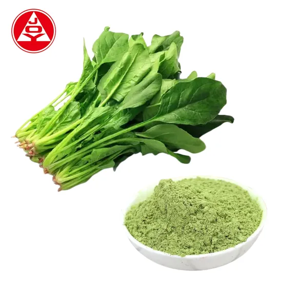 Factoty Supply 100% Pure Natural Vegetable Spinach Juice Powder in OEM 