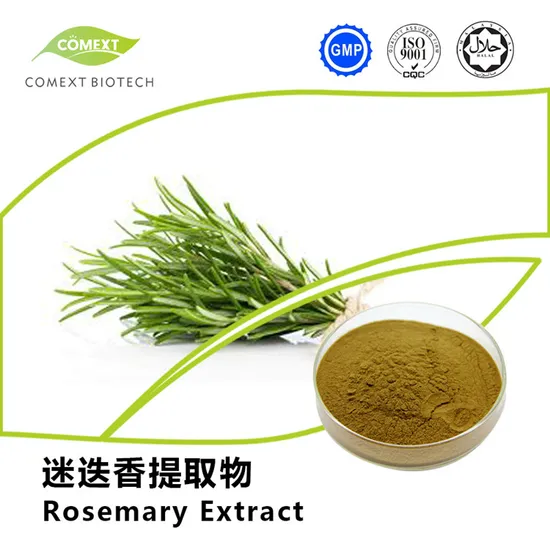 Comext OEM Plant Extract Powder Echinacoside Verbascoside 100% Natural Supplements Cistanche Tubulosa Extract 