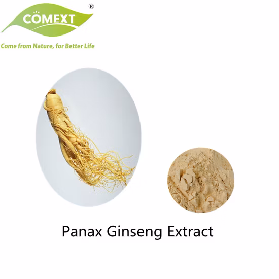 Natural Ginkgo Biloba Extract 24/6 Comply with Cp2015 Standards for Lower Blood Pressure Herb Herbal