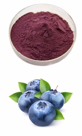 Top Quality Bulk 25% Anthocyanins Black Elderberry Extract Powder