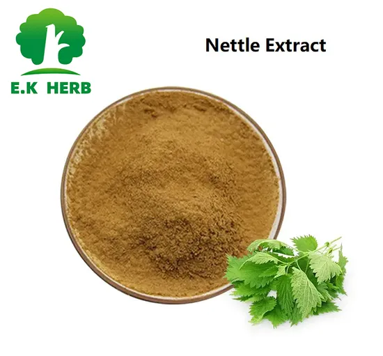 E. K Herb Factory Chinese Medicine European and American Standard Leaf Extract Powder Nettle Extract 