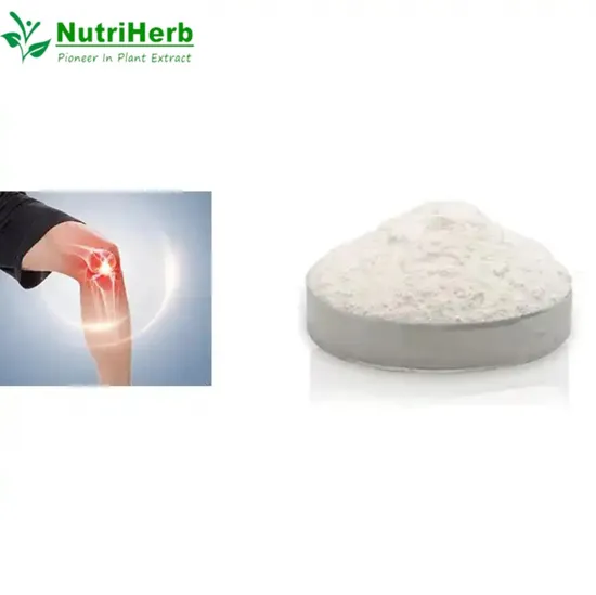 Bulk Fish Cattle II Collagen Type II Collagen Powder 90% Protein Food Grade 