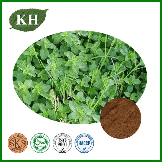 Good Quality Thyme Extract Thymol 