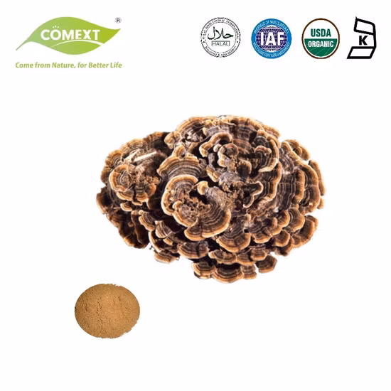 Polysaccharide Coriolus Versicolor Extract Powder Turkey Tail