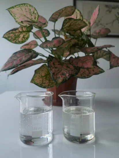 2, 3