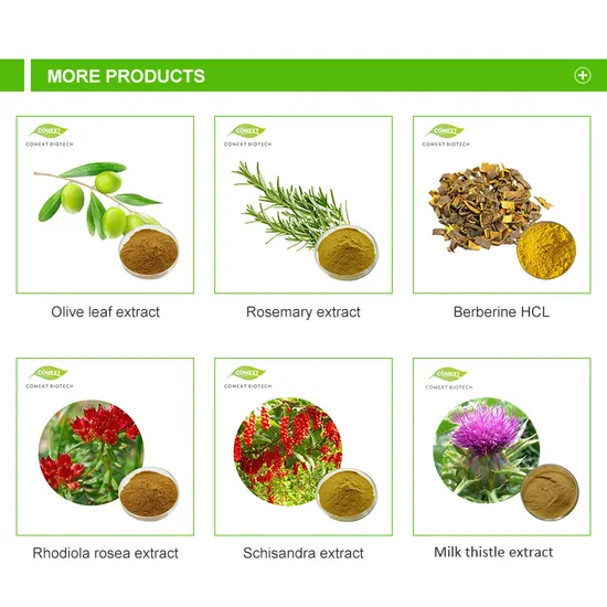 Comext Traditional Chinese Medicine Herb Extract Health Food Increase Male Functional Cistanche Tubulosa 