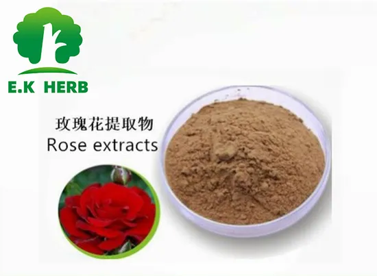 E. K Herb Plant Extract Factory Rose Extract American Japanese Korean European Standard for Medical and Food Use Flower Extract Rose Extract 
