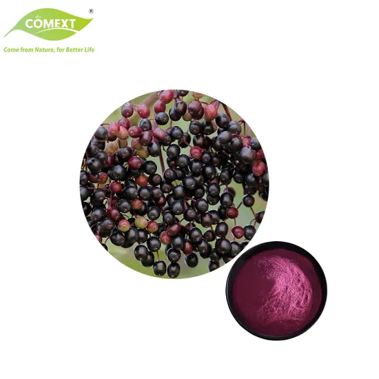 100% Pure Natural Plant Extract Food Additives Elderberry Extract Anthocyanins Sambucus Nigra Extract Powder 