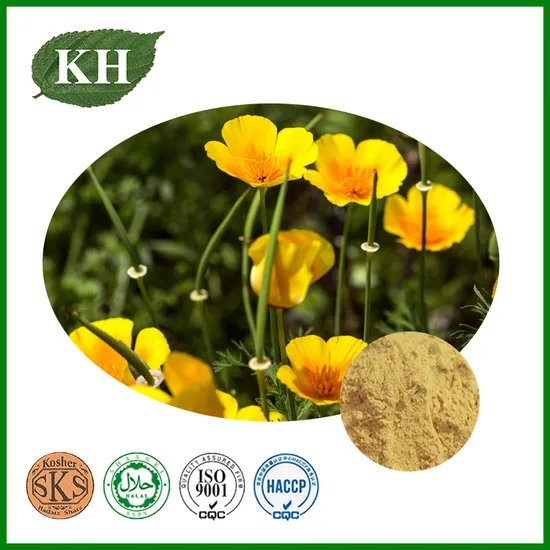 High Quality California Poppy Extract, 0.2%~1.2% Alkaloid, Amapola De California 
