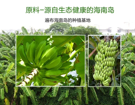 Concentrate Fruit Vegetable Juice Banana Powder 