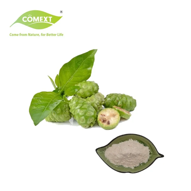 Comext Herbway Natural Supplements Factory Directly Sale Morinda Citrifolia Linn Noni Extract Plant Extract