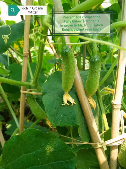 Soybean Source Compound Water Soluble Fertilizer Natural Plant Vegetable Origin 80% Amino Acid